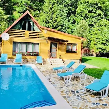 Holiday home River House Transylvania Frasinet