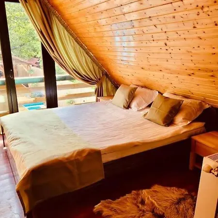 Holiday home River House Transylvania *